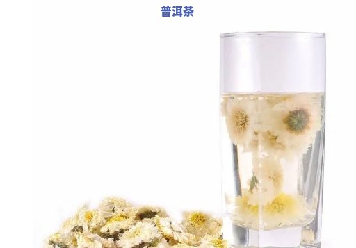 菊花配普洱可以喝吗？详解其功效与作用