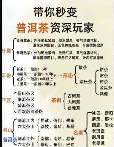 有普洱茶的口号有哪些名字，探寻普洱茶文化：那些耳熟能详的口号和标语