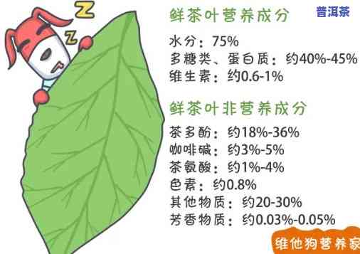 普洱茶维生素c含量，揭秘普洱茶的营养价值：维生素C含量解读