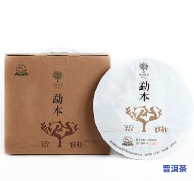 本予源古树普洱茶生茶-本源普洱茶价格