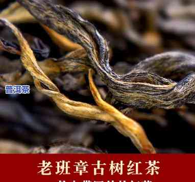 云南老班章红茶工艺-老班章红茶价格