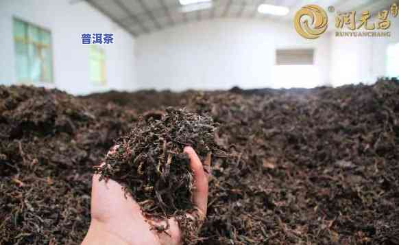 普洱茶发酵更佳地点：寻找更优销售地