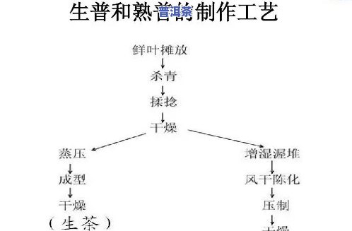 普洱茶发酵的目的是什么，揭示普洱茶发酵的目的