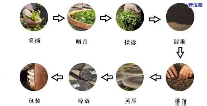 深入熟悉普洱茶发酵工艺流程：从鲜叶到熟茶的变化全过程及产品特性