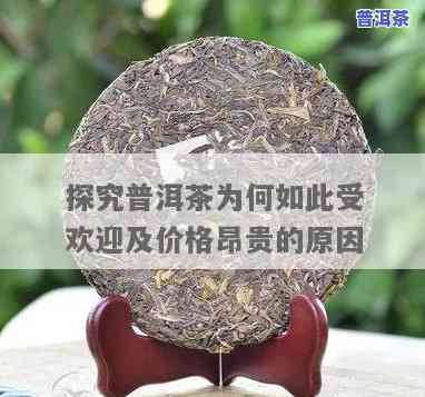 普洱淘宝为什么便宜很多？深度解析价格差异起因