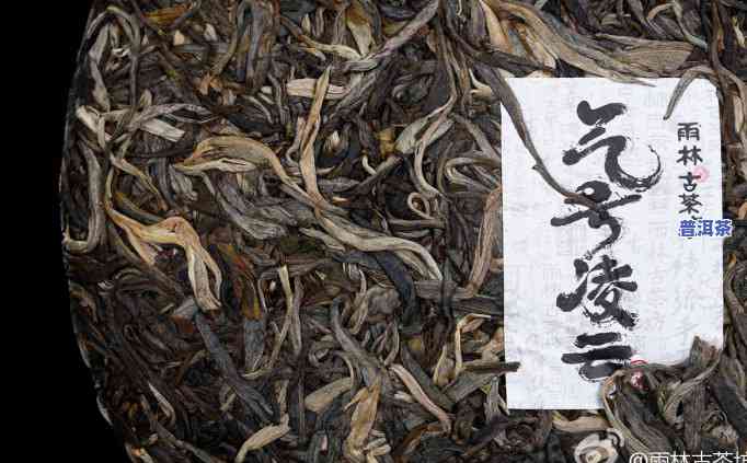 雨林古茶坊老班章熟-雨林古茶坊 老班章