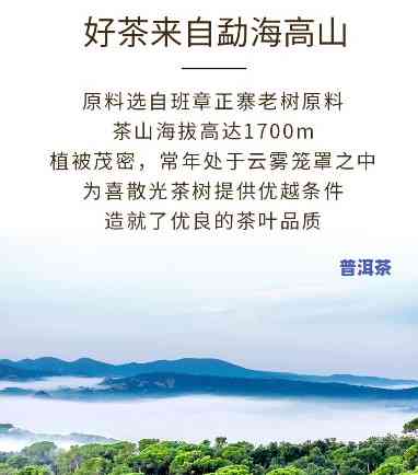 猛海班章正山茶厂：官方网站，优质茶叶生产商