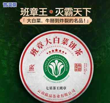 大白菜：普洱茶行业的传奇与由来