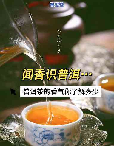 普洱茶很香，品味普洱茶的香气：一种特别的享受