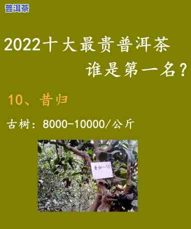 盘点:口碑更好的十大普洱茶，「盘点」口碑更好的十大普洱茶，你喝过几个？