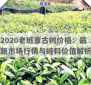 老班章2020价格，独家揭秘：2020年老班章普洱茶市场价格分析