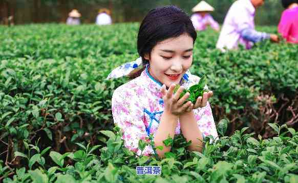 云南普洱的女人，探寻云南普洱的女性魅力：一段特别的文化之旅