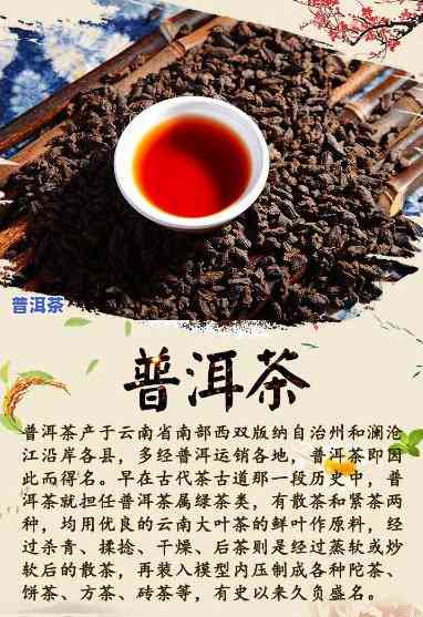 云南普洱茶哪里最出名-云南普洱茶哪里最出名的