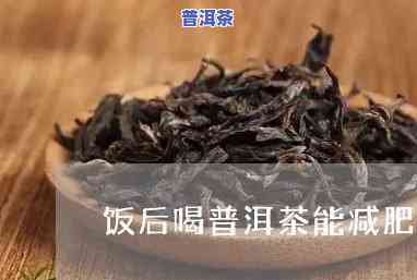 饭饱后喝普洱茶能减肥吗？效果怎样？