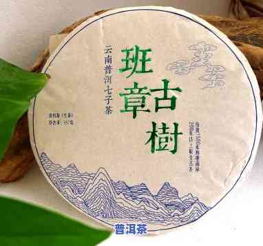 云南班章老树茶厂，【班章老树】云南普洱茶熟茶 班章古树纯料 高山生态茶叶 大叶种七子饼茶压制茶饼 礼盒装新年送礼佳品