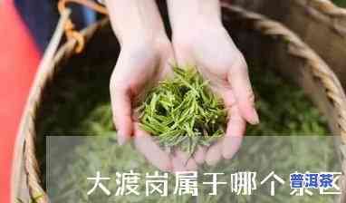 大渡岗的茶怎样，探秘大渡岗：揭秘优质茶叶的秘密