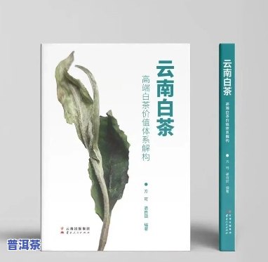 白水清卖普洱茶给许家印，白水清向许家印推销普洱茶，能否成功引发关注