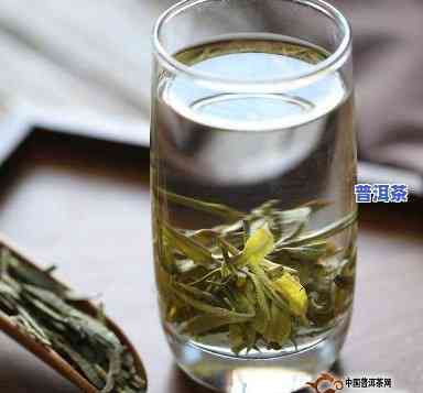 可以用茶杯泡普洱茶吗-可以用茶杯泡普洱茶吗女生