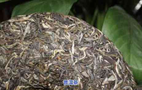 老班章是更好的茶吗，探究茶叶之王：老班章是不是真的更好？