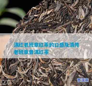 老班章红茶的口感，品味老班章红茶：特别口感的探索与欣赏