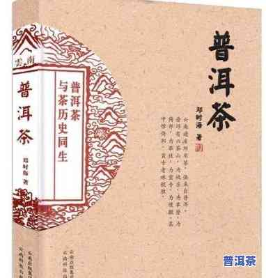 普洱一词起源于什么，探秘普洱茶的起源：从古至今的历史演变