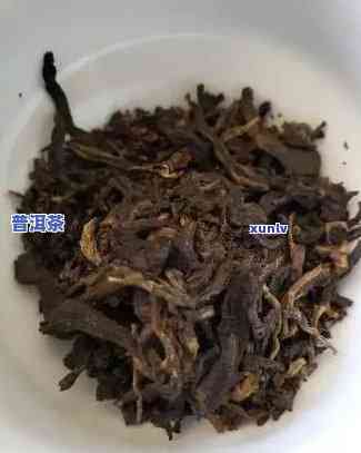 大石桥老茶头普洱茶，品味历史与自然的交融：大石桥老茶头普洱茶的魅力探索