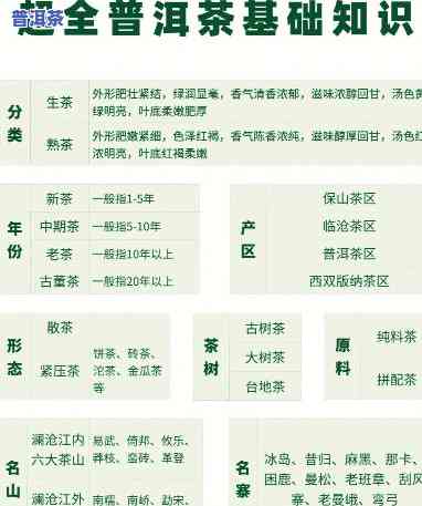 怎么学会品普洱茶知识-怎么学会品普洱茶知识呢