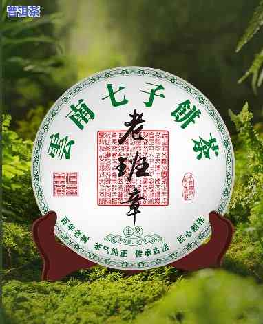 勐海茗一茶业老班章：高品质茶叶的代名词