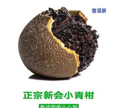 小青柑新会普洱茶，探索新口味：小青柑与新会普洱茶的特别搭配