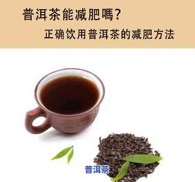 长期喝普洱茶会瘦吗，探讨长期饮用普洱茶对体重的作用：是不是会瘦身？