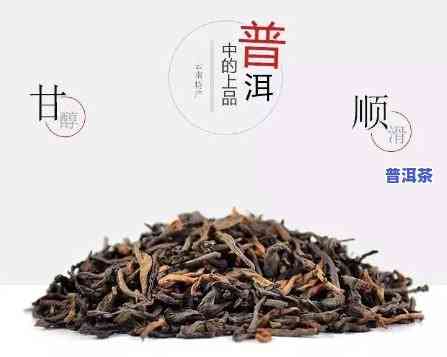 普洱茶熟茶夏天适合女生饮用吗？上怎么说？