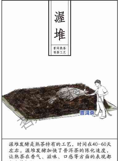 普洱茶熟普都是差料制-普洱茶熟普都是差料制作的吗