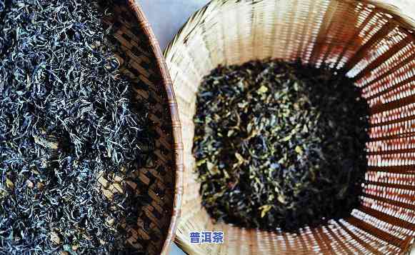 普洱茶熟普都是差料制-普洱茶熟普都是差料制作的吗