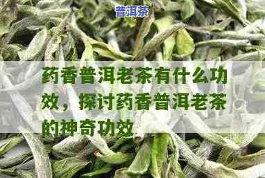 带香的普洱茶怎么样-带香的普洱茶怎么样好喝吗