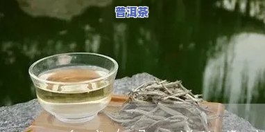 普洱茶里会有老鼠屎吗？高清图片展示及解决方法