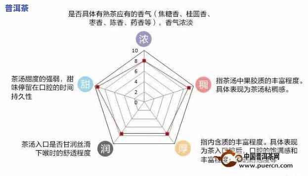 普洱熟茶配牛奶：口感、健康、适合人群全面解析