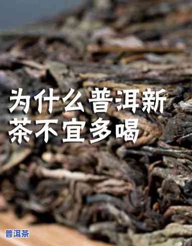 普洱茶新茶能放几天？有吗？能否饮用？