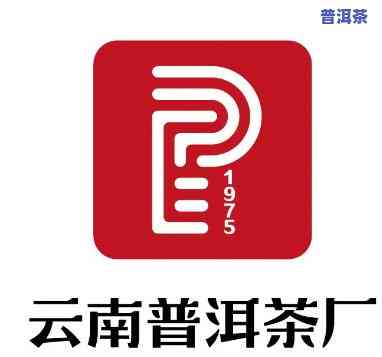 云南普洱茶饼公司地址查询全攻略：电话、官网一网打尽！