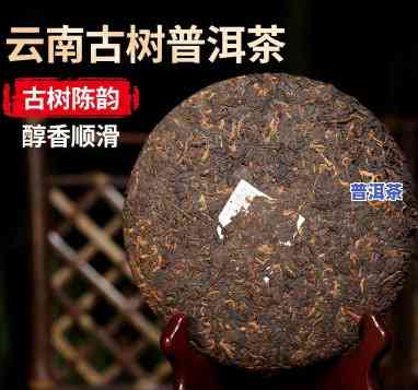 勐海茶厂一棵树普洱茶：价格、生茶与全解析