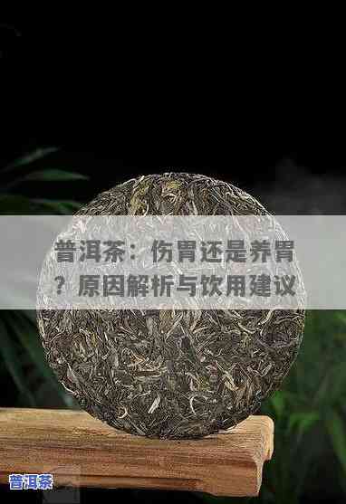 普洱茶能养胃治胃病？正确饮用方法是什么？