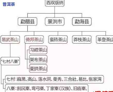 西双版纳景洪茶厂：揭秘云南茶叶生产重地排行榜与茶区详情