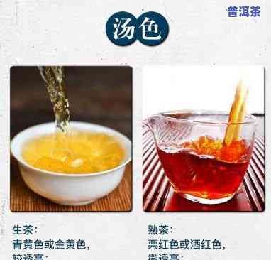 熟普洱茶有色素吗？熟悉其成分与安全性