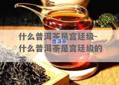 普洱茶宫廷：级别怎样界定？