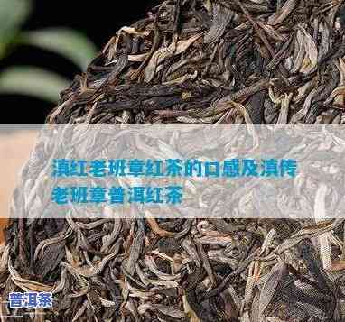 老班章：熟茶还是生茶？其属于什么档次？