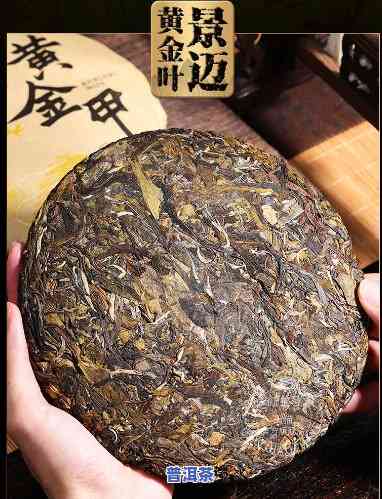 黄金甲普洱茶2006-黄金甲普洱茶