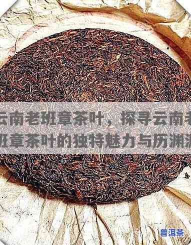 云南老班章茶叶，探寻云南老班章茶叶的特别魅力与历史文化