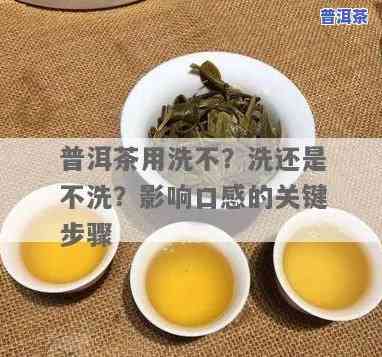 泡功夫普洱茶要洗茶吗？详细清洗步骤解析