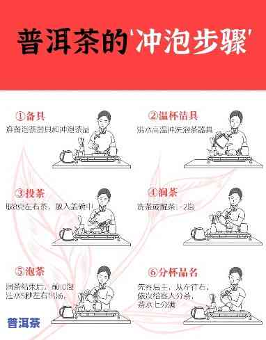 泡功夫普洱茶要洗茶吗？详细清洗步骤解析