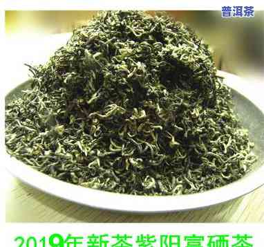 紫阳茶好吗？全面解析紫阳茶的品质与价值