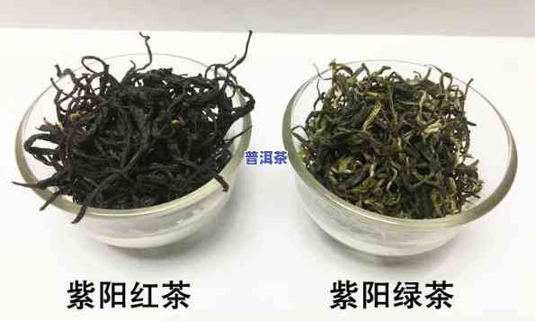 紫阳茶和普洱茶哪个好-紫阳茶和普洱茶哪个好喝